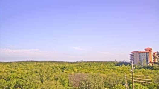 Weather camera view of WTSP-TV.