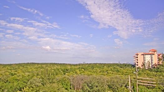 Weather camera view of WTSP-TV.