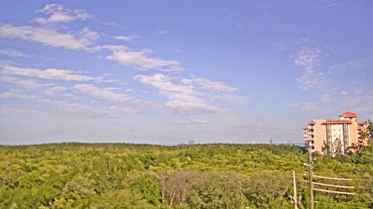 Weather camera view of WTSP-TV.