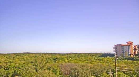 Weather camera view of WTSP-TV.