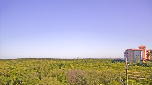 Weather camera view of WTSP-TV.