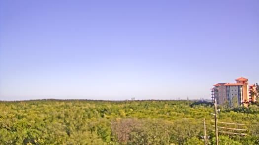 Weather camera view of WTSP-TV.