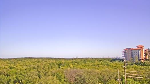 Weather camera view of WTSP-TV.