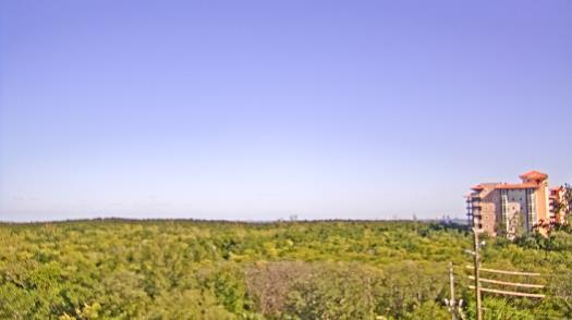 Weather camera view of WTSP-TV.