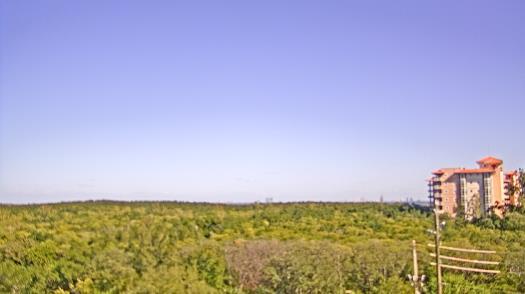 Weather camera view of WTSP-TV.