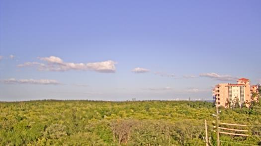 Weather camera view of WTSP-TV.