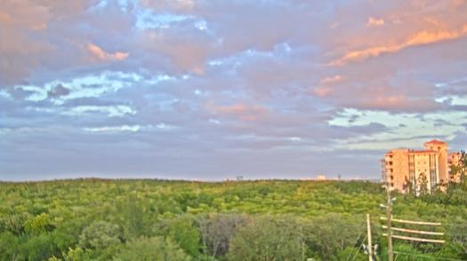 Weather camera view of WTSP-TV.