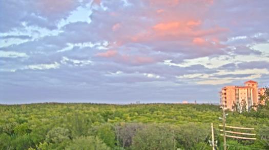 Weather camera view of WTSP-TV.