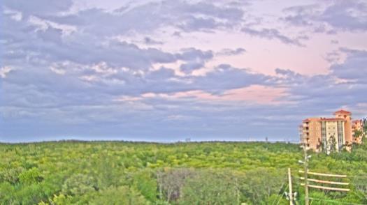 Weather camera view of WTSP-TV.