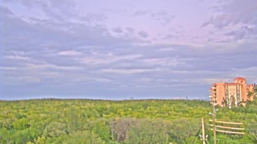 Weather camera view of WTSP-TV.