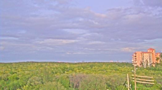 Weather camera view of WTSP-TV.