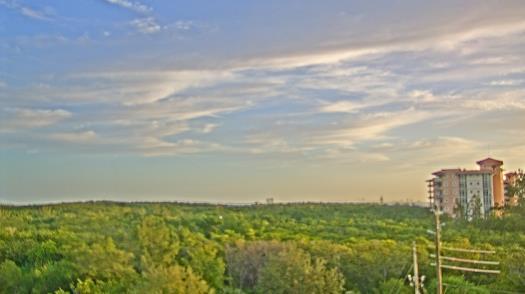 Weather camera view of WTSP-TV.