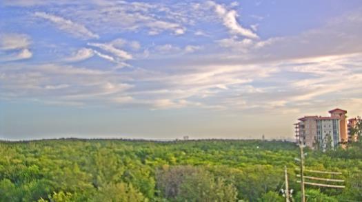 Weather camera view of WTSP-TV.