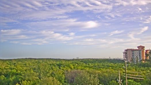 Weather camera view of WTSP-TV.