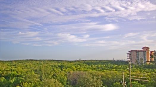 Weather camera view of WTSP-TV.