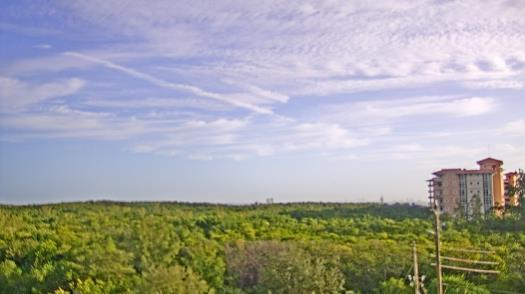 Weather camera view of WTSP-TV.