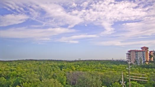 Weather camera view of WTSP-TV.