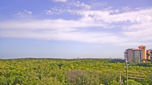 Weather camera view of WTSP-TV.