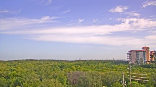 Weather camera view of WTSP-TV.