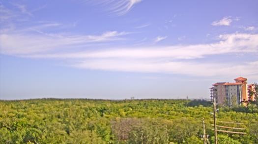 Weather camera view of WTSP-TV.