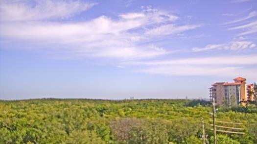 Weather camera view of WTSP-TV.