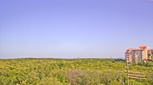 Weather camera view of WTSP-TV.