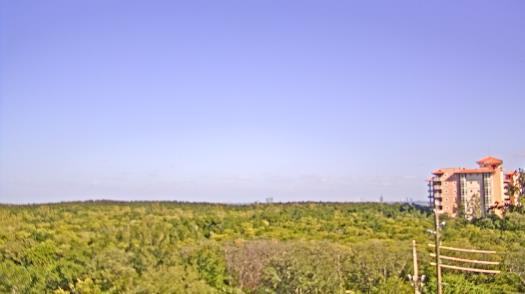 Weather camera view of WTSP-TV.