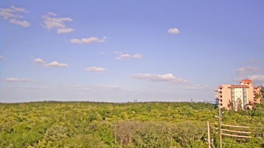 Weather camera view of WTSP-TV.
