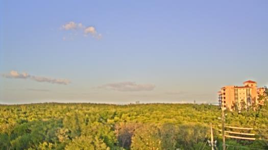 Weather camera view of WTSP-TV.