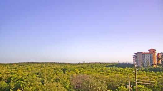 Weather camera view of WTSP-TV.