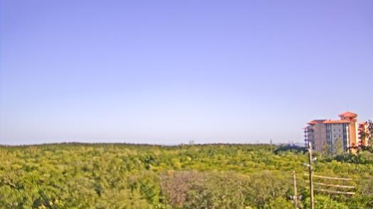 Weather camera view of WTSP-TV.