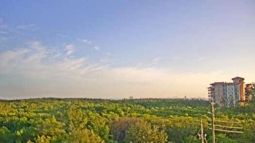 Weather camera view of WTSP-TV.