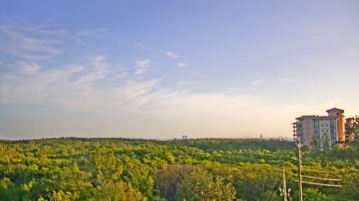 Weather camera view of WTSP-TV.