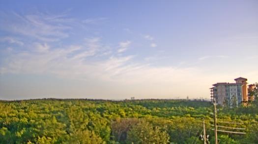 Weather camera view of WTSP-TV.