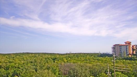 Weather camera view of WTSP-TV.