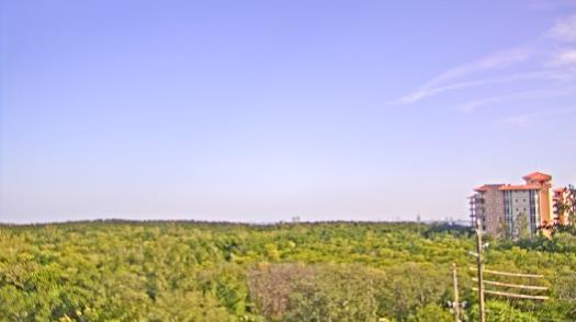 Weather camera view of WTSP-TV.