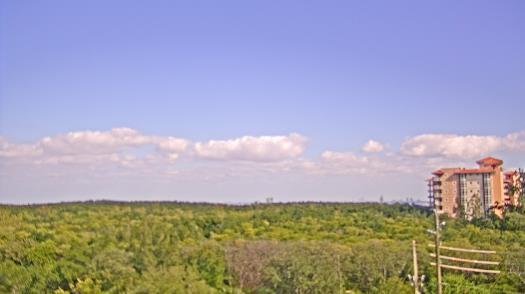 Weather camera view of WTSP-TV.