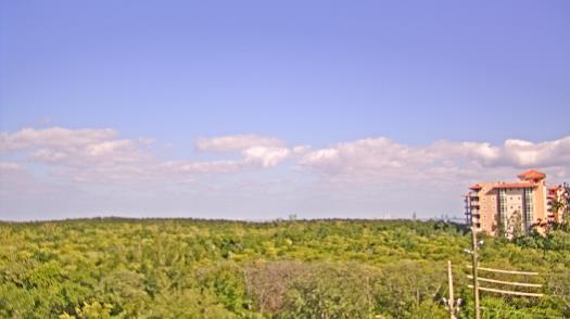 Weather camera view of WTSP-TV.