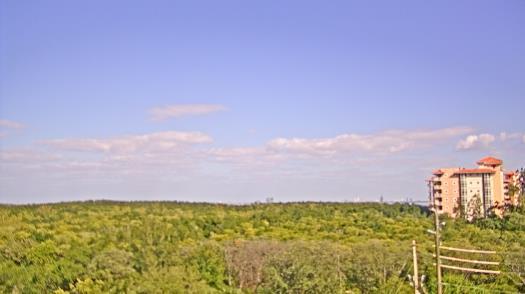 Weather camera view of WTSP-TV.