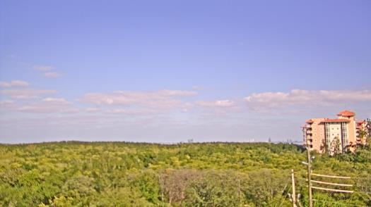 Weather camera view of WTSP-TV.