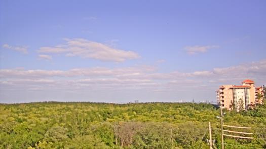 Weather camera view of WTSP-TV.