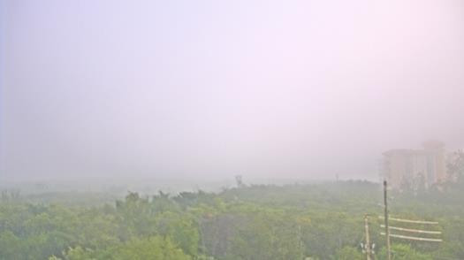 Weather camera view of WTSP-TV.