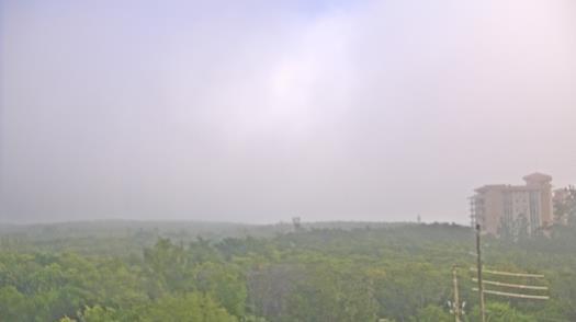 Weather camera view of WTSP-TV.