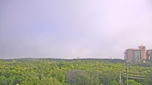 Weather camera view of WTSP-TV.