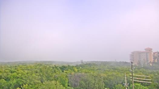 Weather camera view of WTSP-TV.