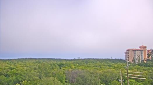 Weather camera view of WTSP-TV.