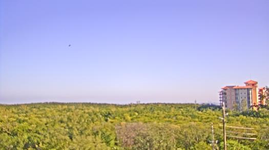 Weather camera view of WTSP-TV.