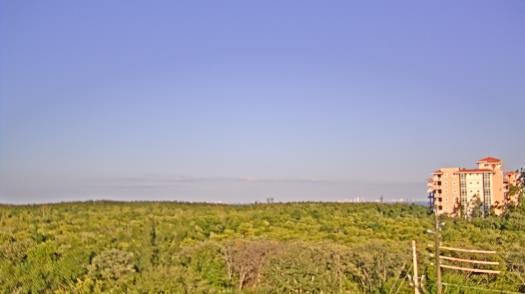 Weather camera view of WTSP-TV.