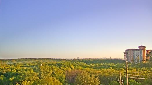 Weather camera view of WTSP-TV.