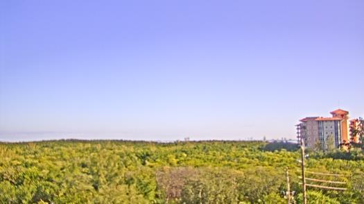 Weather camera view of WTSP-TV.